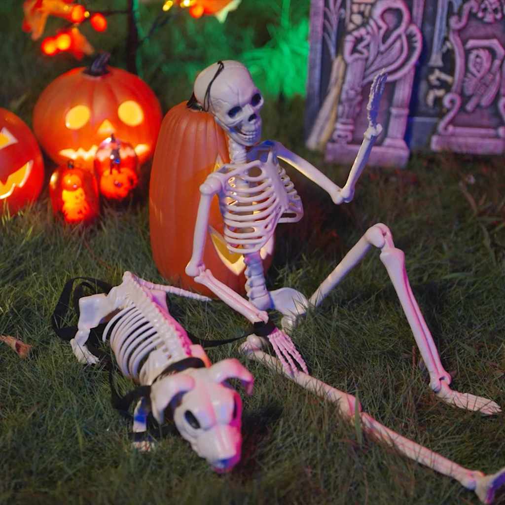 Squelette de décoration Halloween 2 pcs Blanc 155 x 38.5 cm - XIOS