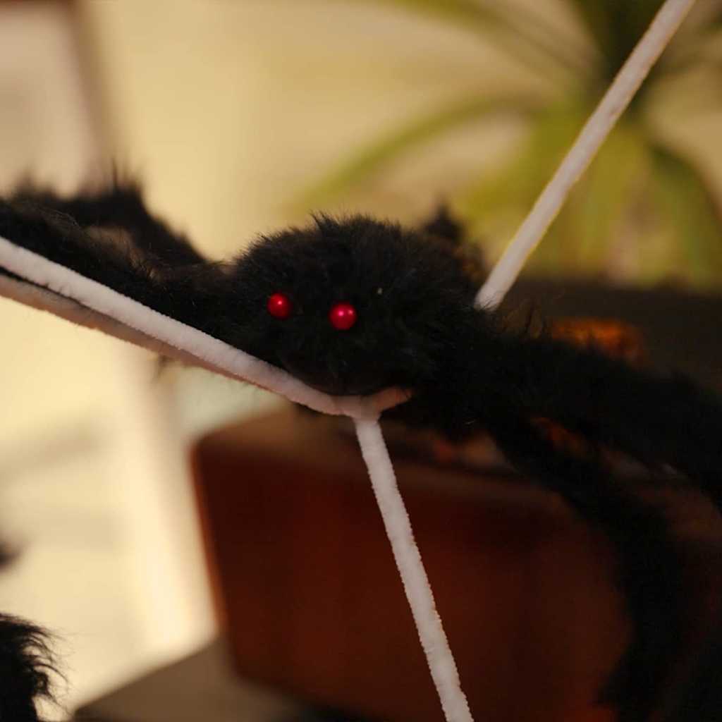 Décoration d'araignée d'Halloween avec toiles 4 pcs 150 cm - XIOS