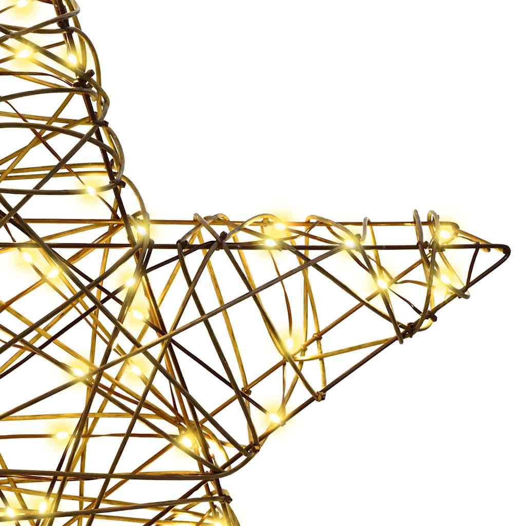 Étoile en 3D avec 50 LED Blanc chaud 55 x 52.5 x 9 cm Rotin - XIOS