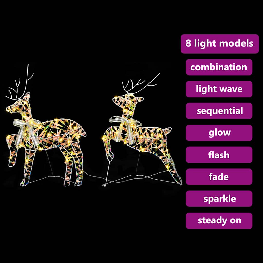 Rennes LED avec 40 LED 2 pcs Blanc chaud PET