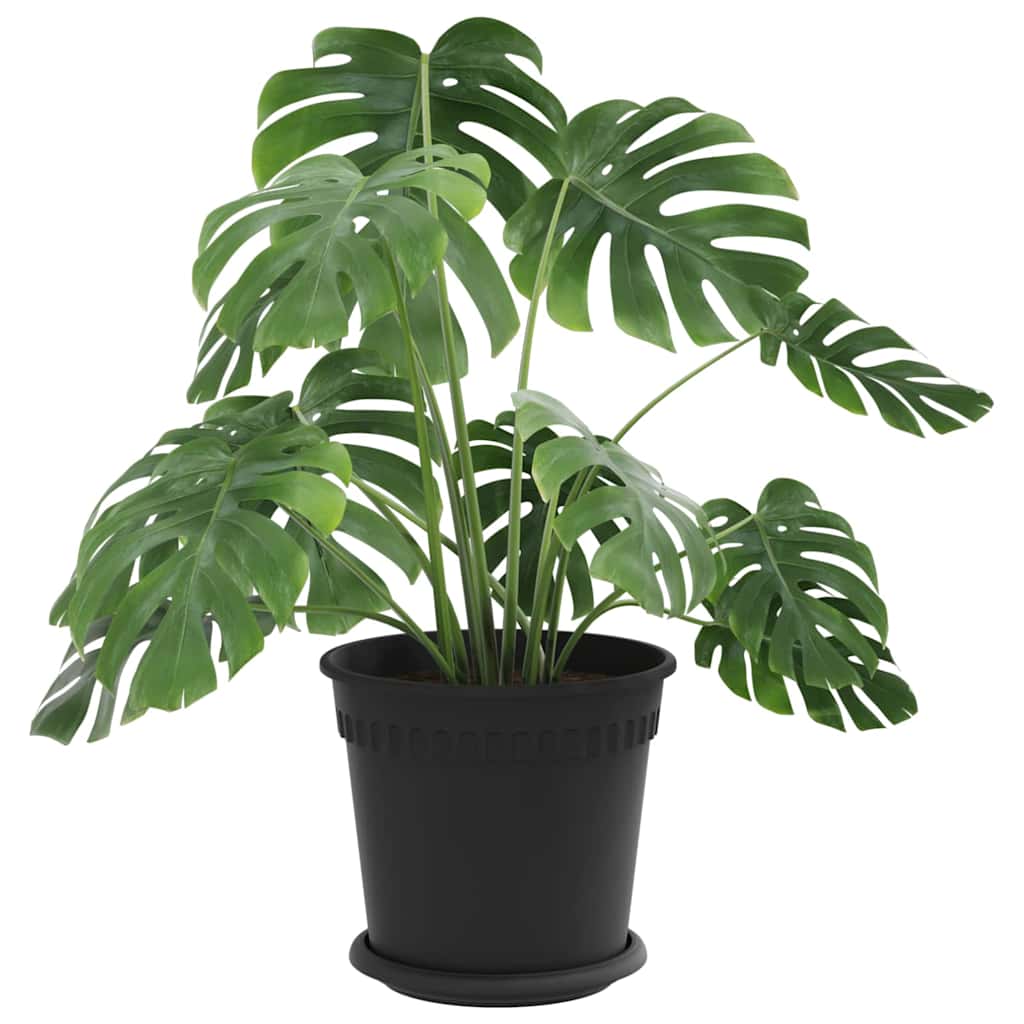Pots de plantes 6 pcs Noir Ø 19 x 16 cm Plastique - XIOS