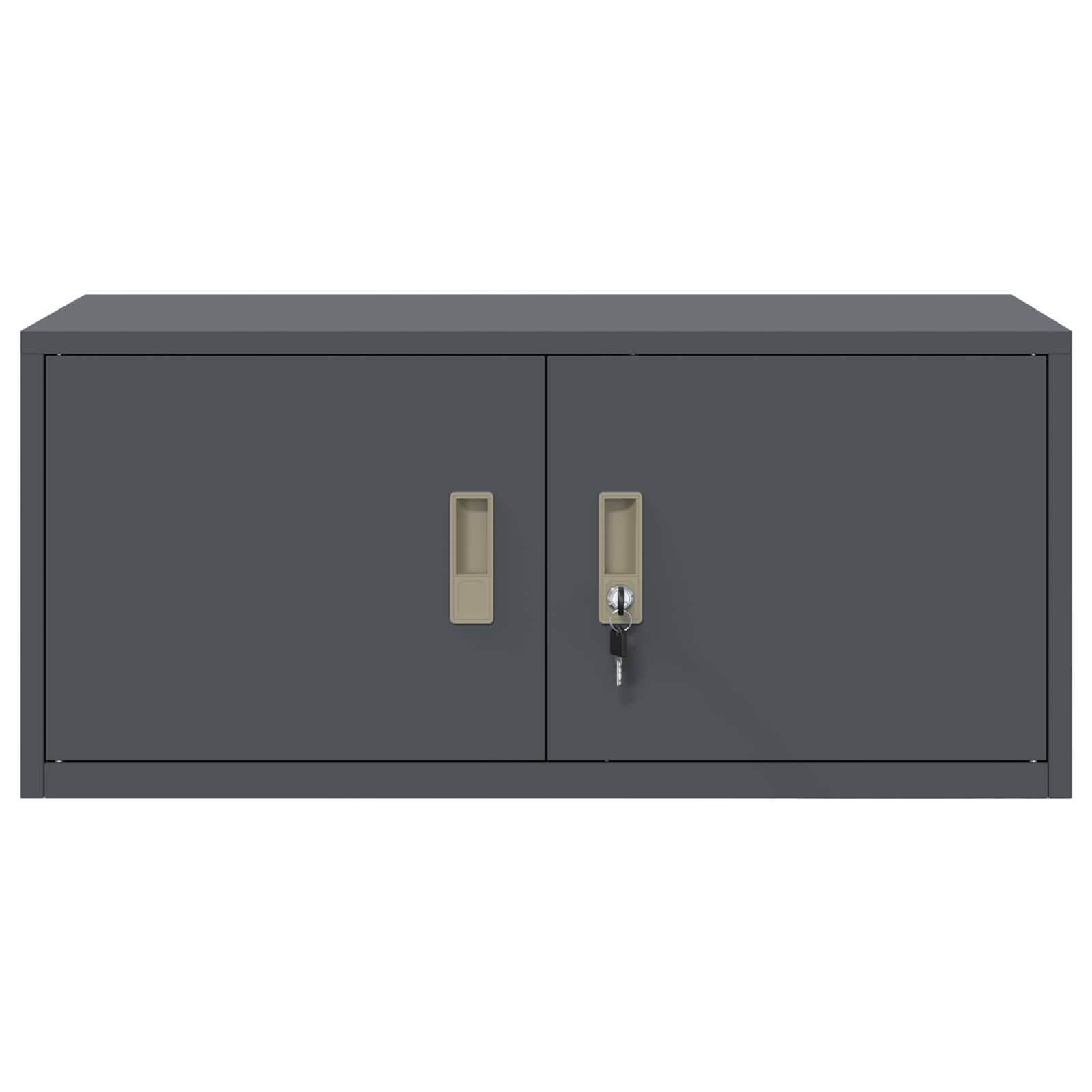 Armoire de rangement Anthracite 90 x 40 x 40 cm Acier