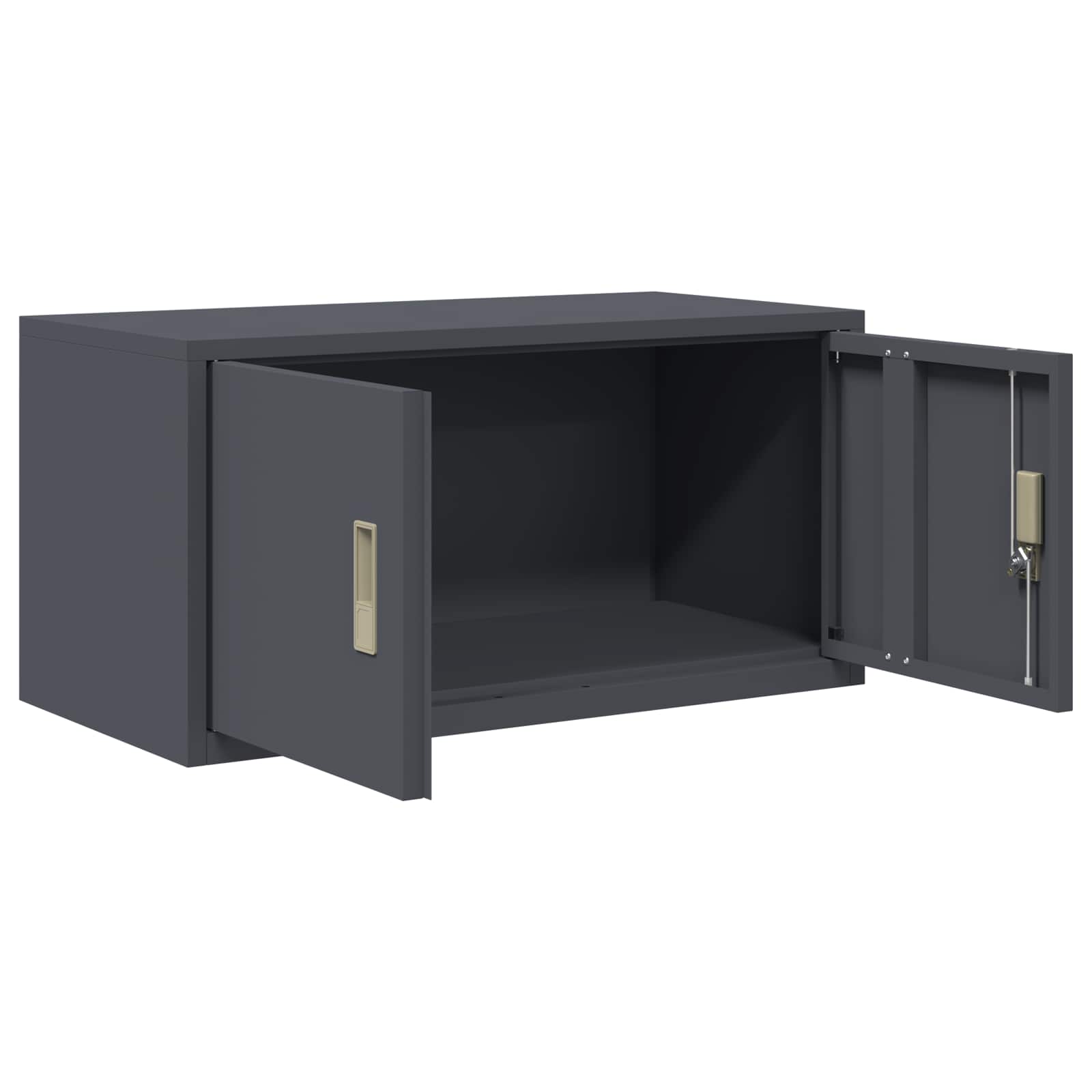 Armoire de rangement avec stockage Anthracite 80 x 40 x 40 cm