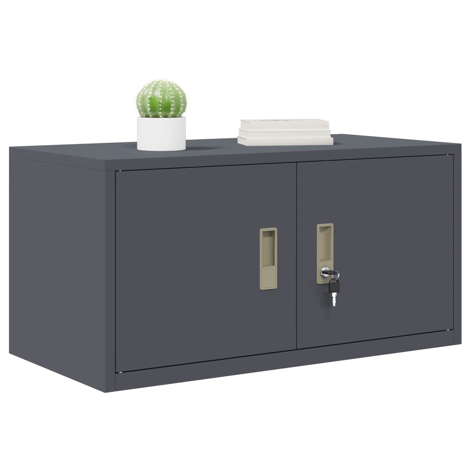 Armoire de rangement avec stockage Anthracite 80 x 40 x 40 cm