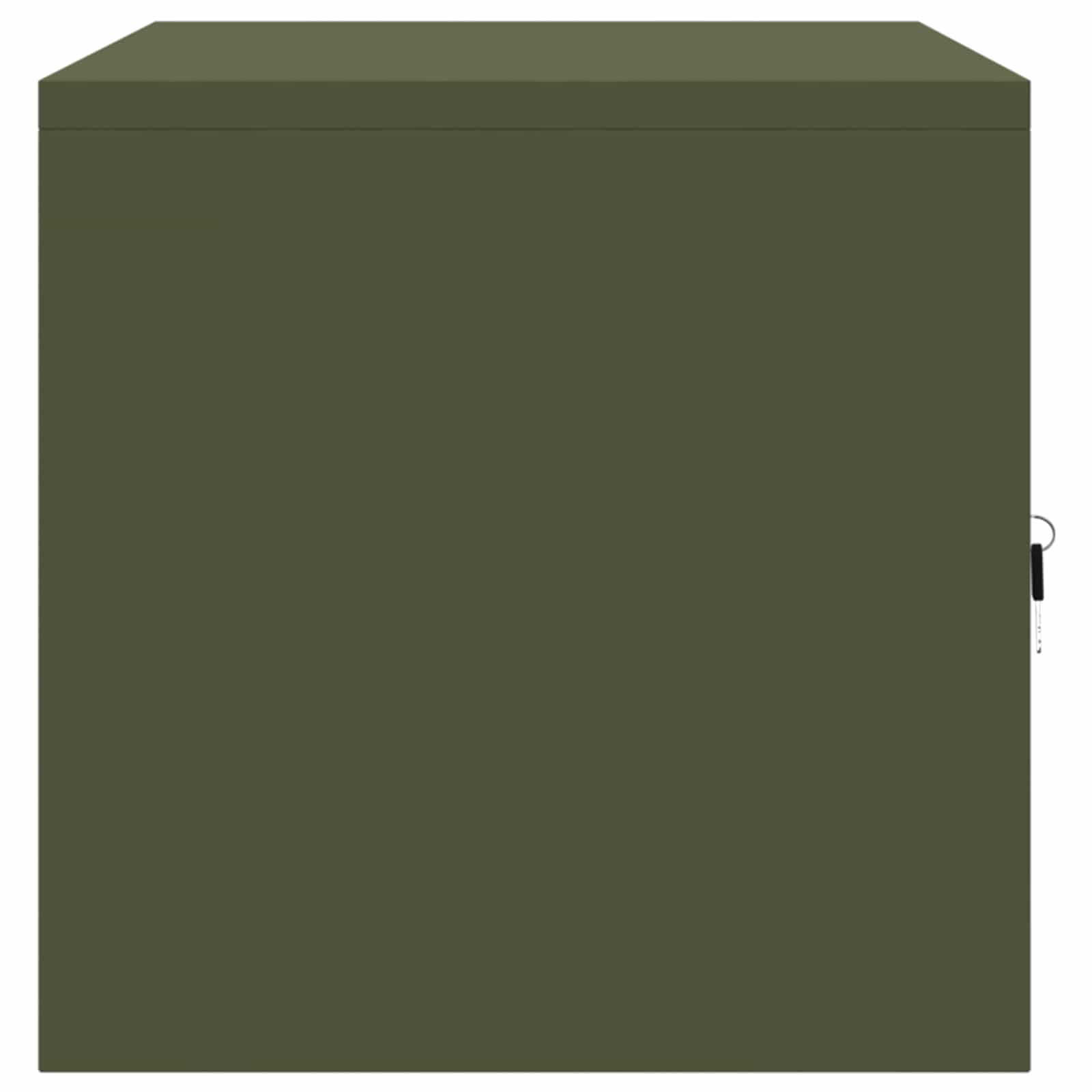Armoire de rangement avec stockage Vert olive 80 x 40 x 40 cm