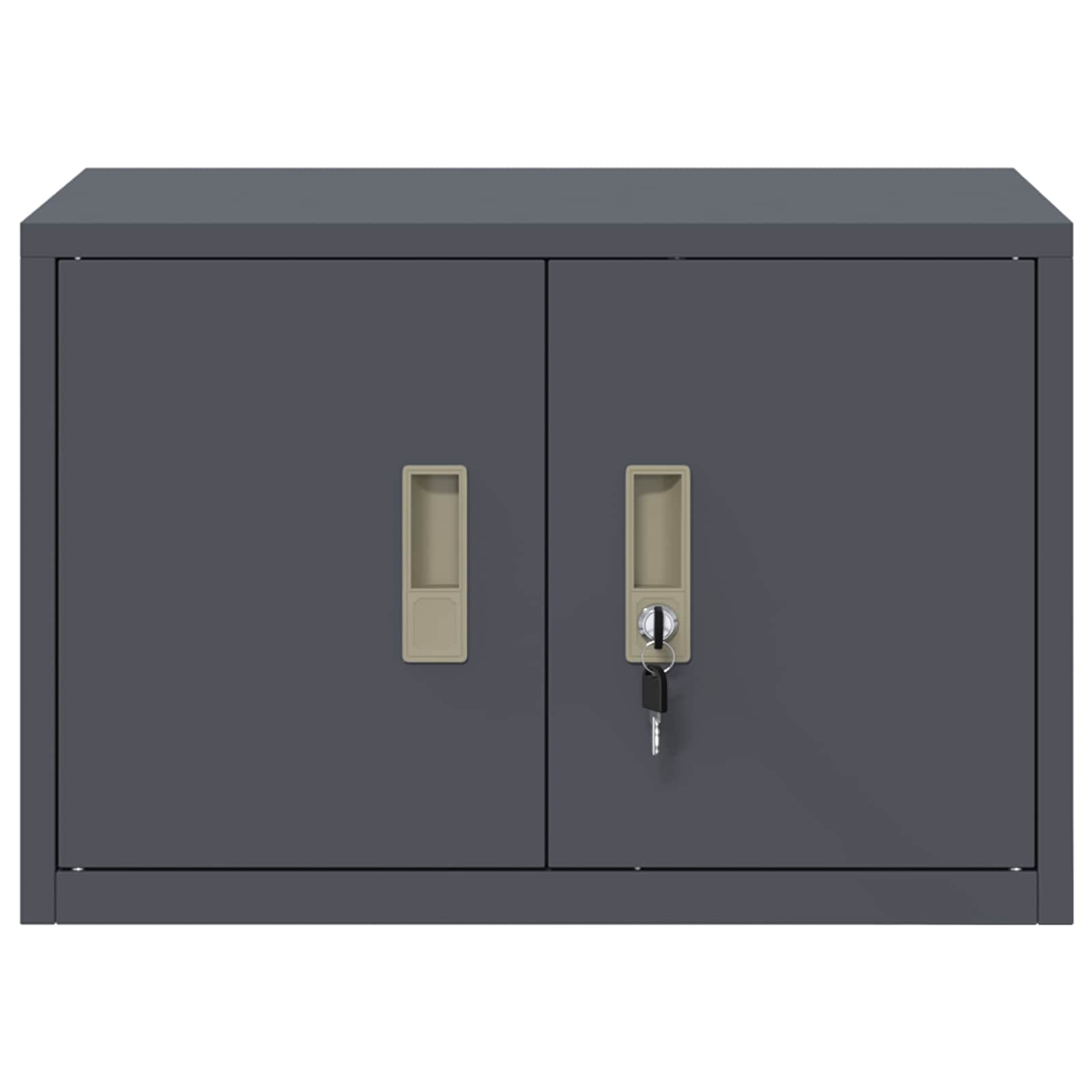 Armoire de rangement avec stockage Anthracite 60 x 40 x 40 cm