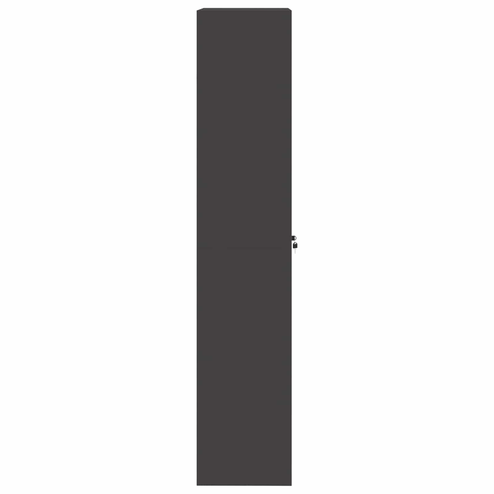 Armoire de rangement avec stockage 2 pcs Noir 60 x 40 x 200 cm - XIOS