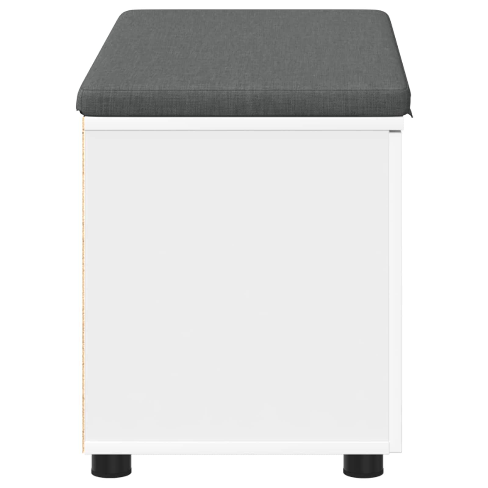 Banc d'entrée avec coussin avec stockage Blanc 80 x 46 x 46 cm - XIOS