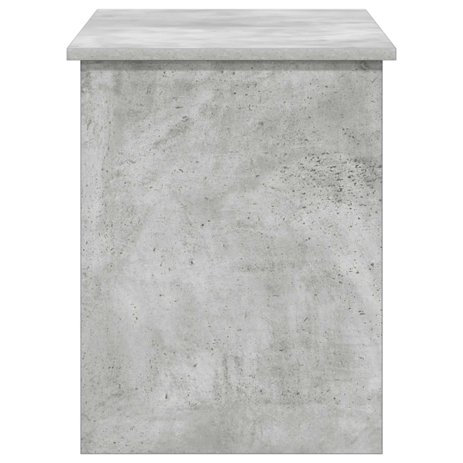 Coffre de rangement avec stockage Gris béton 100 x 40 x 50 cm