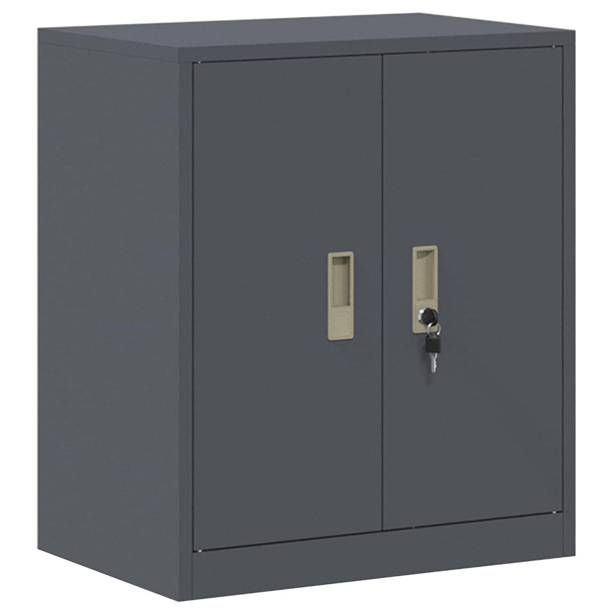 Armoire de rangement 2 pc Anthracite 60 x 40 x 175 cm Acier